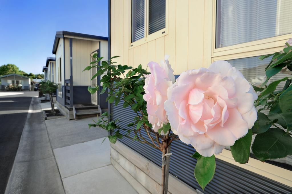 Apollo Bay Holiday Park Exterior foto
